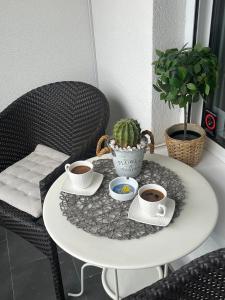 Lux apartment 13 center, free parking