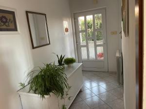 Apartment Stela