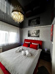 Stella Apartman Čačak