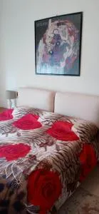 Bella Vista FIDENZA - Soragna