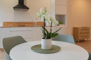 AT Negreira no Camiño