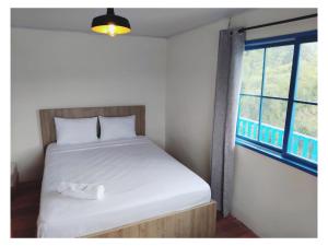 Encantadora Finca en Paraíso Cafetero - La Flor