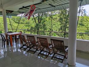 The Tea View Guest Ella