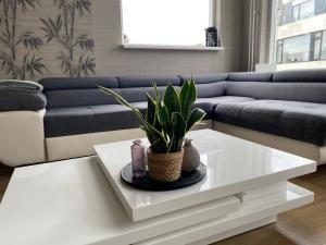 Katwijk Center, 1 min away from the beach!