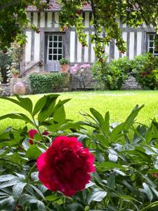 Maisons de vacances Les Hortensias : photos des chambres