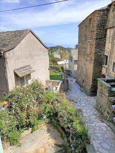 Maisons de vacances Maison corse - cap corse : photos des chambres