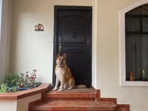 Spacious Family House - La Tenería