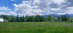 Pasieka - góralskie klimaty