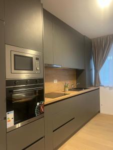 Luxury Sunny Apartments near City Center Suceava