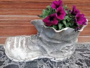 Anguiano express - Castroviejo