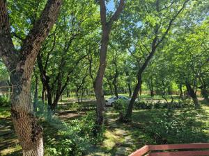 Хижа "Миньор"