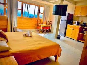 Light and View Wooden Loft - Ocosingo