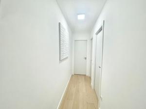 Home, tulipán Orihuela costa