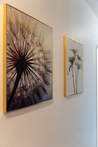 Appartements Confort & Spacieux Family Travel pour 6 - 10- to Disneyland Paris 25- to Paris - In front of Train Station Torcy RER A : photos des chambres