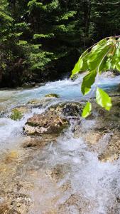 Holiday home by the emerald river 