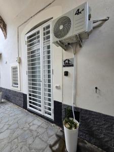 Fortino living spring