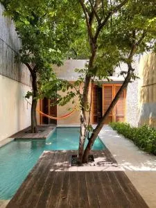 Los Cuatro Patios - Tixpheual