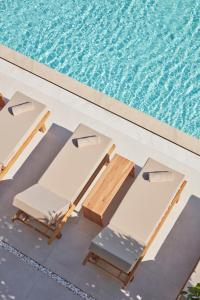 Venzi Ayayorgi-Adult Only 15