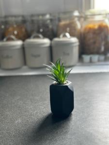 Modern & Cosy Studio Near City Centre