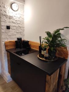 Przytulne Studio 4 z parkingiem