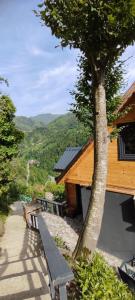 Fırtına suit bungalov