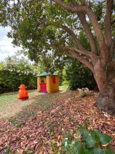 Luminoso appartamento vicino spiaggia img17