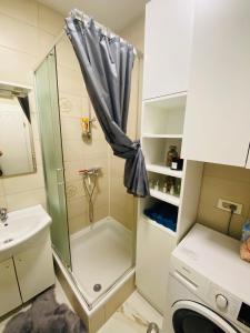 Vlaska Downtown Luxury Apartment 