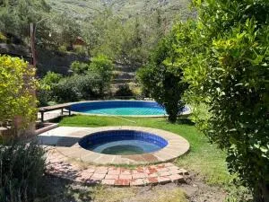 El bosque huajchilla - Mecapaca