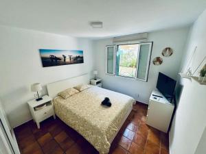 Caracola Roja by Top Stay