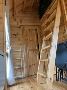 Le chant des grenouilles