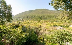 Apartment Feel the nature