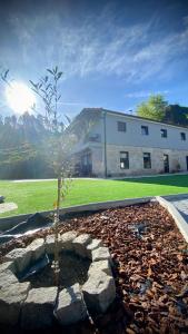 Casa do Miradouro Mondim de Basto