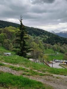 Appartements Appartement cosy a Les Belleville 48 m² avec terrasse privee : photos des chambres