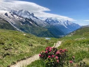Appartements Chalet Walser a VALLORCINE 13 kms CHAMONIX France : photos des chambres