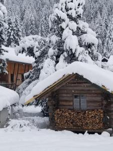 Appartements Chalet Walser a VALLORCINE 13 kms CHAMONIX France : photos des chambres