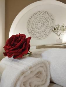 Dimora delle rose