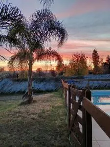 Cabañas del Cerro Mirador - Villa Quillinzo