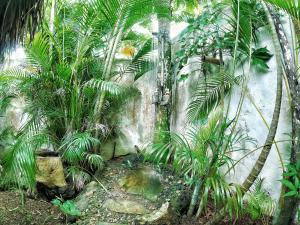 Jungle Hut near Beach - Nature Lovers