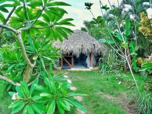 Jungle Hut near Beach - Nature Lovers