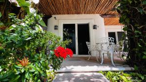 Mayan Art Hotel a unos pasos de la 5a Avenida