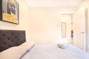 Beautiful 2BDR in Heart of Plateau Mont-Royal A