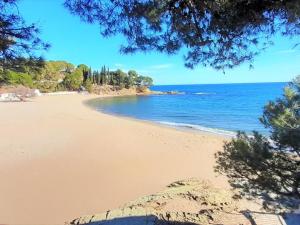 Ático en Grifeu, Llançà: Terraza, Playa a 100m, 1 Habitación, Admite Mascotas - ES-170-91