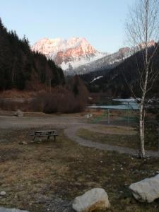 Chalets Les Curtillets : photos des chambres