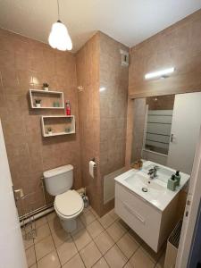 Appartement Cern Geneve Terrasse Station de ski