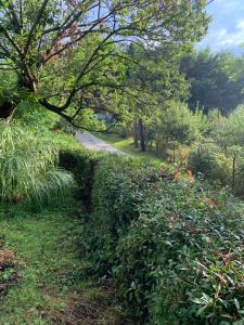 Wine Cellar Turned Idyllic Spa Escape