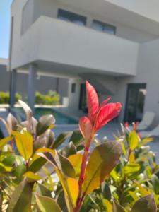 Favoloso Duplex Volme - Banjole, Pula, Croazia