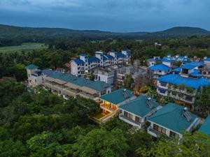 ELIVAAS Signature 3 BHK with Pvt Pool - Azalea