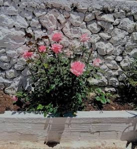 Vouzianas home