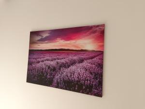 Room Zonti 