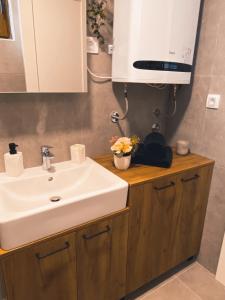 Elena Apartman